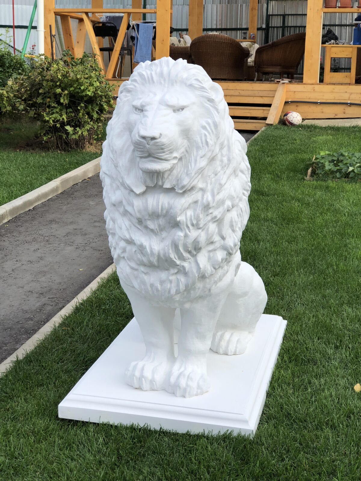 img 3003 1200x1600 1